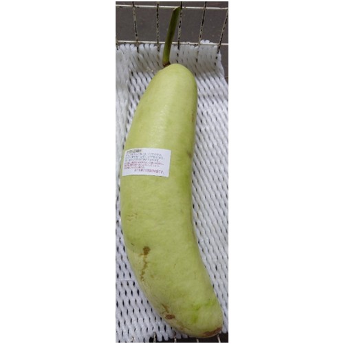 松本ハイランド「夕顔」（長野県山形村直売所で販売） - 返金／回収