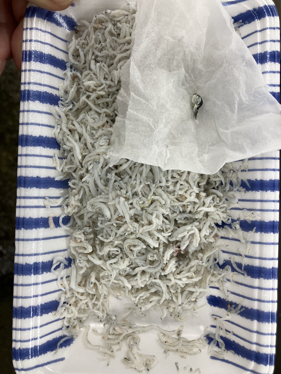 バザール「釜揚げしらす」 - 返金／回収