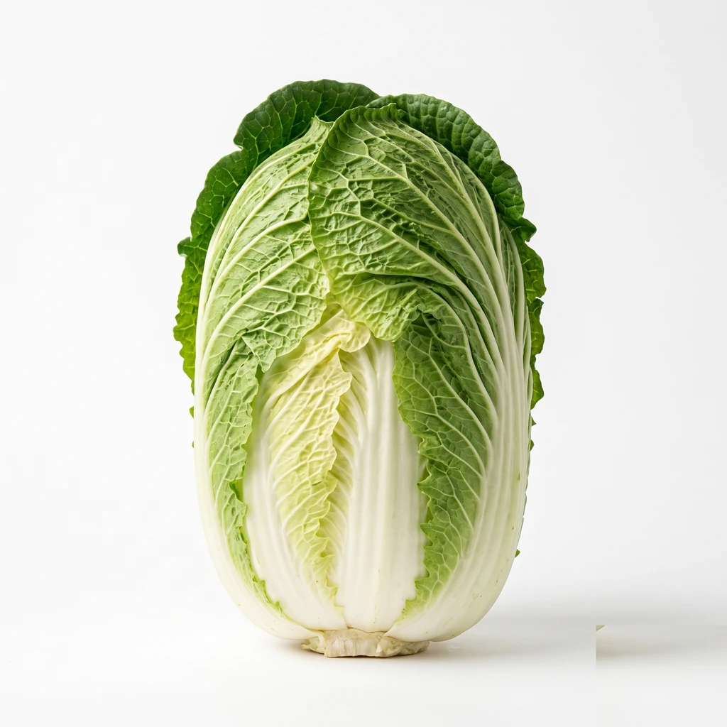はくさい 結球葉 生の写真