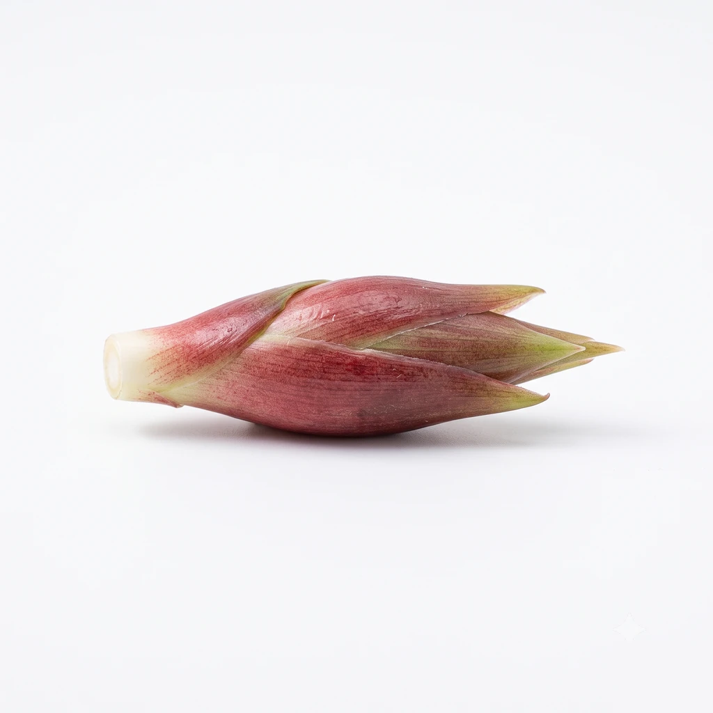(みょうが類) みょうが 花穂 生の写真