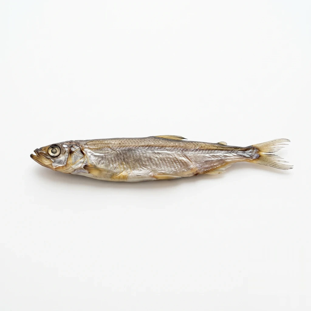 <魚類> (ししゃも類) からふとししゃも 生干し 生の写真